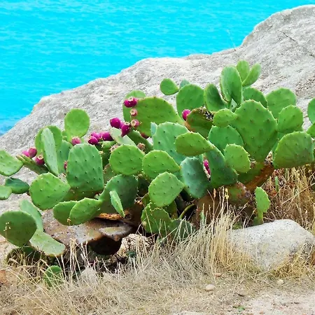 Beach Mobile Grimaud